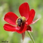 همسات  صباحية ..صباح الخير