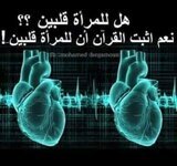 هل للمرأة قلبين في جوفها؟؟؟ نعم. ﺃﺛﺒﺖ ﺍﻟﻘﺮﺁﻥ ﺃﻥ ﻟﻠﻤﺮﺃﺓ ﻗﻠﺒﻴﻦ ..!!