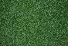 طريقة الاعتناء  بالثيل وزراعته