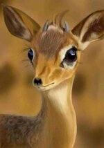 اختر خطواتك ولا تتبع الآخرين