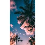 B96CF60B-35E3-4EB3-AF54-D002F059528C.jpeg B96CF60B-35E3-4EB3-AF54-D002F059528C.jpeg
