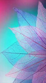 06E27298-F65B-4972-AB84-EF3F6A0726F4.jpeg