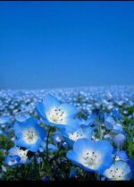 أصعب أنواع النساء  !!!