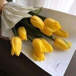 FB_IMG_1633765802681.jpg