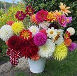 FB_IMG_1633809535735.jpg