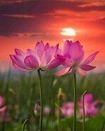 FB_IMG_1633809531255.jpg