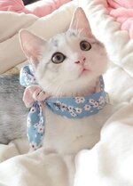 FB_IMG_1633982617220.jpg
