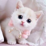 FB_IMG_1633982612303.jpg