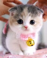 FB_IMG_1633982614787.jpg