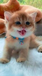 FB_IMG_1633982609718.jpg