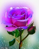 شئ إليك...يشدني....يملأ كياني يهزني...