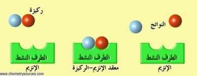 23A2A658-74FF-42F3-8099-D8A9FCF00A79.jpeg 23A2A658-74FF-42F3-8099-D8A9FCF00A79.jpeg