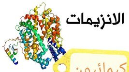 29383F47-F0EA-4507-8BDA-1B1CEDD7A79A.jpeg 29383F47-F0EA-4507-8BDA-1B1CEDD7A79A.jpeg