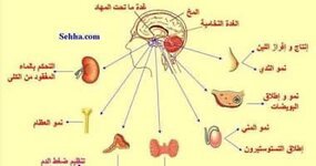 ADC9DF11-6907-431F-B9F6-A9F97104DD7A.jpeg ADC9DF11-6907-431F-B9F6-A9F97104DD7A.jpeg