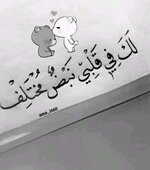 شرع الهوى/ قــل لـلـتي قـد أعـرضت عـني وتــغـيـرت مـــن دونــمـا ســبـبِ..ـ