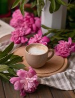 1548A9B6-B9EE-455B-BA5B-EF8318CE5609.jpeg