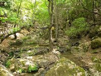 rhodes-island-6.jpg rhodes-island-6.jpg