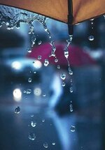 لازلنا هنا ....تسكننا الأنوار...