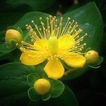 علمتني الحياة