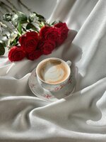 B6B39F87-4B23-44B2-8F22-7B6F5203BD51.jpeg