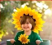 The strong independent woman احنا لاسترونگ اندبندنت ومن ولا زفت احنا امهات عظيمات ساحلتهم الدنيا ذهابا وايابا