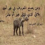 FB_IMG_1636904349095.jpg