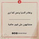 FB_IMG_1636906439870.jpg