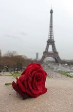 منتديات شباب الرافدين 1 (1).jpg