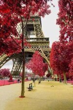 منتديات شباب الرافدين 1 (2).jpg