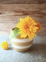 منتديات شباب الرافدين 1 (6).jpg