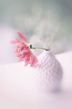 منتديات شباب الرافدين 1 (7).jpg