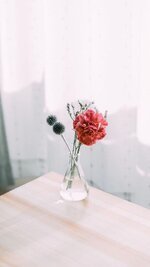 منتديات شباب الرافدين 1 (9).jpg
