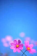 منتديات شباب الرافدين 1 (10).jpg