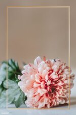 منتديات شباب الرافدين 1 (11).jpg