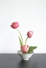 منتديات شباب الرافدين 1 (14).jpg