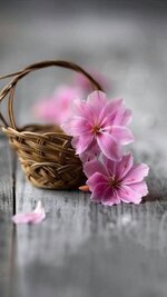 منتديات شباب الرافدين 1 (17).jpg