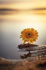 منتديات شباب الرافدين 1 (20).jpg