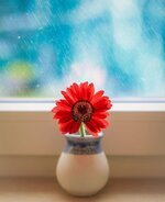 منتديات شباب الرافدين 1 (21).jpg
