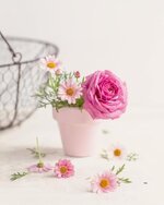 منتديات شباب الرافدين 1 (24).jpg