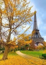 منتديات شباب الرافدين 1 (27).jpg