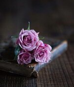 منتديات شباب الرافدين 1 (29).jpg