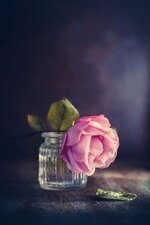 منتديات شباب الرافدين 1 (30).jpg