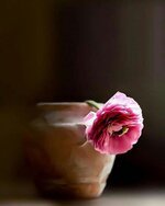 منتديات شباب الرافدين 1 (32).jpg