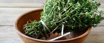 فوائد الزعتر البري