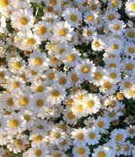 FB_IMG_1637319984864.jpg FB_IMG_1637319984864.jpg