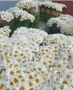 FB_IMG_1637319987244.jpg FB_IMG_1637319987244.jpg