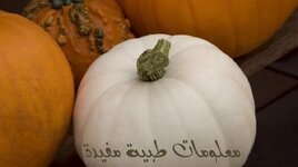 فوائد اليقطين الغذائية السحرية