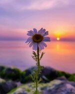 FB_IMG_1638037521092.jpg