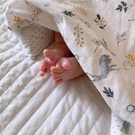 FB_IMG_1638798723067.jpg FB_IMG_1638798723067.jpg