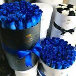 الازرق الازرق ...